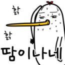 미소지음3차 이미지