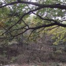 서울대학교 농업생명과학대학 이미지