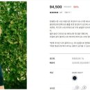 케이베스트샵