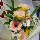 예지메디뷰의원 | 시험관 신선 1차 난자 채취부터 이식까지 ① (고날에프/IVF-M HP/주사통증/비용/후기)