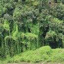 단월면사무소 이미지