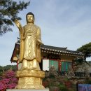 카페수련 이미지