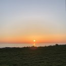 프로퍼밀도 이미지