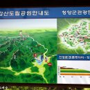 천장호 출렁다리 이미지