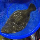 진도상설전통시장 이미지