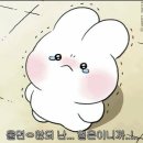 참뫼