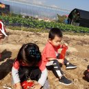 현이농장 이미지