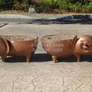 The황금공인중개사사무소 이미지