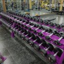 디앤비 휘트니스(평촌점) | 관양동헬스장 디앤비휘트니스 평촌점 24시간 이용 가능한 헬스장