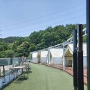 내돈내산 우연하게도 후기｜강아지랑 함께한 카페 나들이