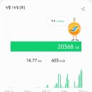 장터육회 이미지