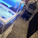 가온칼국수 경산점 이미지