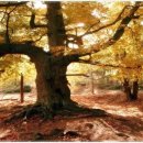 소회의실4 이미지