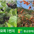 황금퇴비비료 이미지