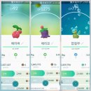 [포켓몬고] 「주간포고」 레이드/필드리서치/대발견 + 이로치잉어킹 , 갸라도스/이로치블루 , 그랑블루...
