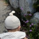 르카페 - 안양시 동안구 시민대로 230 | [내돈내산]충남 예산 아그리르 카페 솔직후기