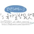 피부미인화장품2 이미지