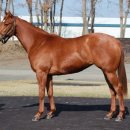 (주)수화은 이미지