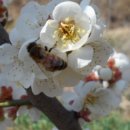 종경농장 이미지