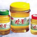 종로-종로-종로-종-310 이미지
