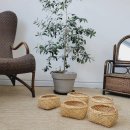 킨(KIN)라탄 이미지