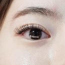 골드래쉬 이미지