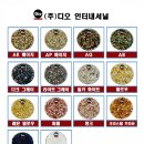 디오인터내셔널 이미지
