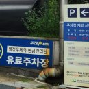 별정우체국연금관리단빌딩 이미지