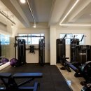 샾 피티 이미지