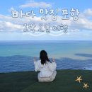미화철물 | 포항 1박 2일 여행코스 가볼만한 곳 : 동백꽃필무렵 갯마을 차차차 촬영지 / 맛집 추천