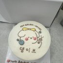 댕이브 이미지