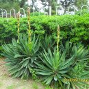 누리마을 이미지