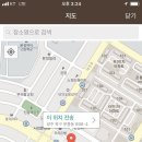 지영미트 이미지