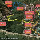 자작나무숲 가는 길 이미지