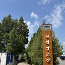 전통주 (막걸리) 제조 과정 | 당진 전통주 견학 및 체험 신평양조장 백련막걸리