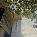안나의뜰 | 숙성회 맛집 ‘ 회뜰때까지 ’ 시마아지 코스 후기 | 상수 맛집 코스요리 데이트 예약 꿀팁