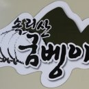 영덕동해곤충