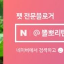 아쿠아플랜트디자인 이미지