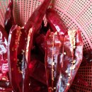 노루목농장 이미지