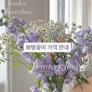 윈터리플라워 이미지