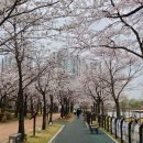 오송 호수공원 화장실 1 이미지