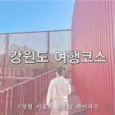 송학주천로 | 젊은달와이파크 입장료 당일발권 할인 사진찍기 좋은 강원도 영월 데이트코스