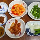 창원 도계동맛집 내장가득 뜨끈한 해장국이 맛있는 두리양평해장국