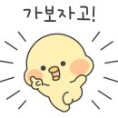 김미현임대