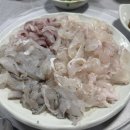 다올회센타