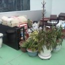 성산연립 상가 이미지