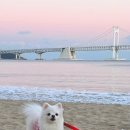 구구아리랑 이미지