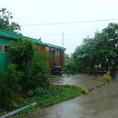 섬에온이유민박 이미지