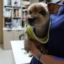 까미마린 네이버블로그
