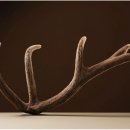 새로한의원 이미지